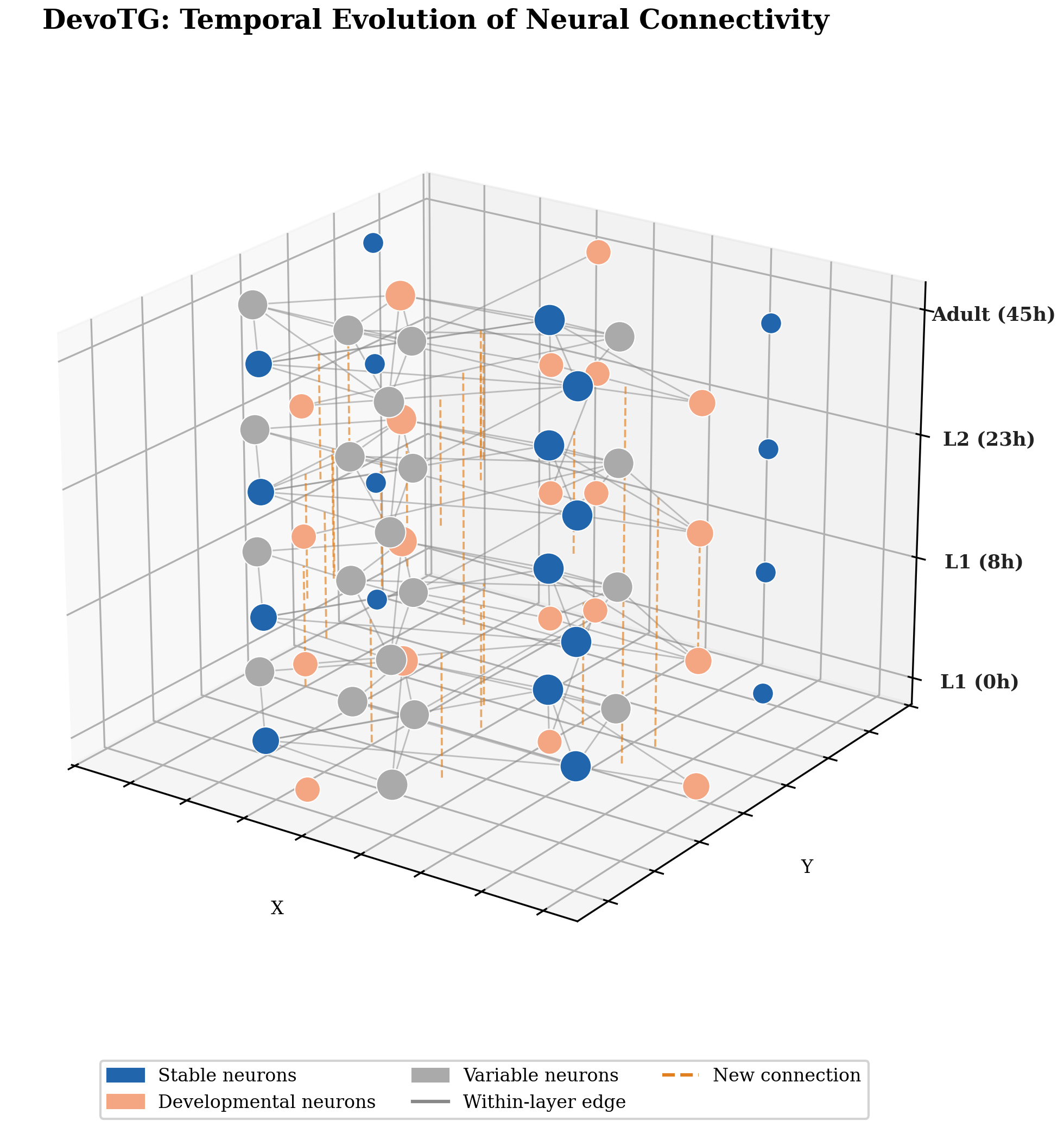 DevoTG temporal graph network visualization