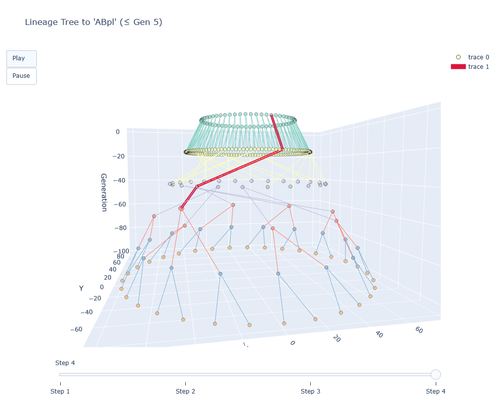 DevoTG C. elegans development visualization